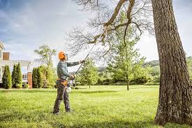 How Our Tree Care Process Works  in Hudson, NC